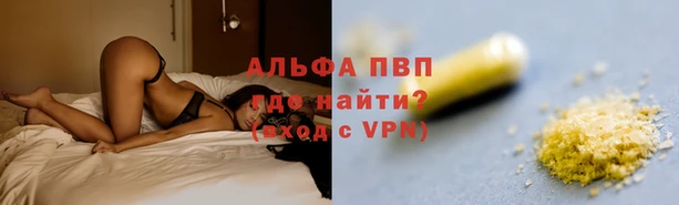 ешки Арсеньев