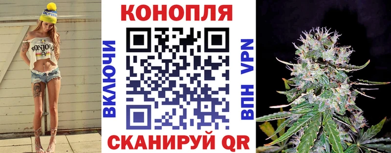 Конопля White Widow  Купить где  Знаменск 